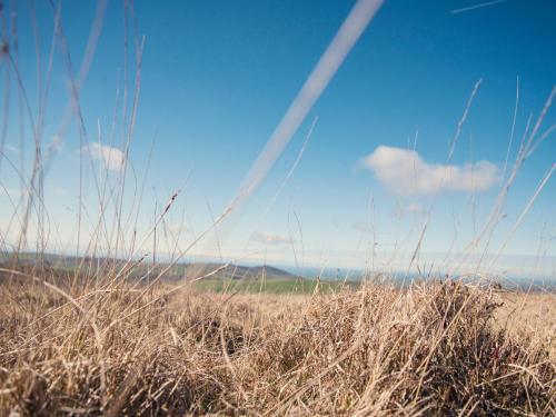 a view of a field of tall grass at Llaethdy - The Dairy in Newchapel
