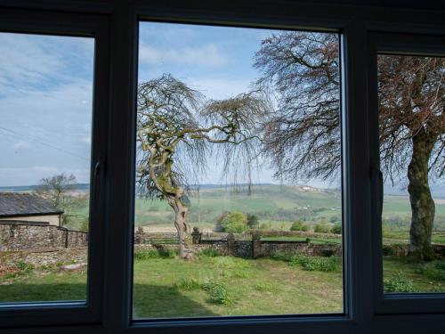 a window with a view of a tree in a field at Westmains Farm in Penton