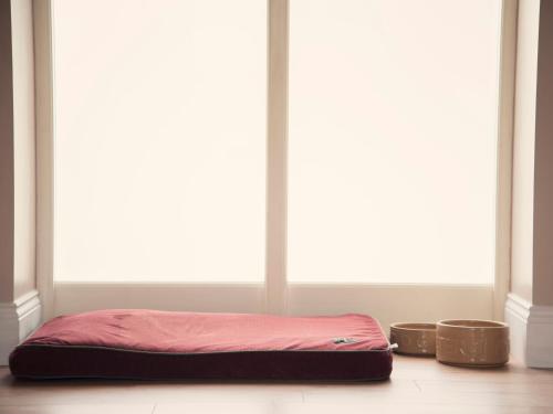 a bed sitting on the floor in front of a window at Llaethdy - The Dairy in Newchapel