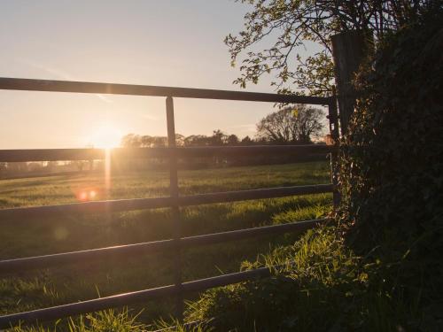 a fence in front of a field with the sunset at Llaethdy - The Dairy in Newchapel
