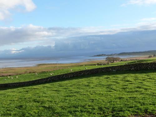 a herd of sheep grazing in a field next to the ocean at Simmer Dim in Kirkbean
