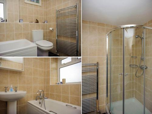 a bathroom with a shower and a toilet and a sink at Blue Horizon in Brixham