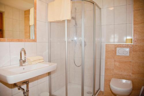 マイヤーホーフェンにあるLarchergutのバスルーム(シャワー、洗面台、トイレ付)