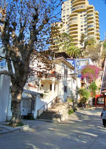 a building on a street with a tree and a tall building at Hotel Chalet Suizo in Viña del Mar