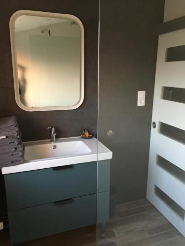 une salle de bain avec un lavabo et un miroir dans l'établissement Les Jardins de l'Ile, à Longeville-lès-Metz