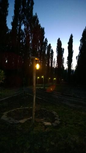 a light on a tree in a park at night at Balcon de Antares in Uspallata