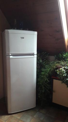 a white refrigerator sitting in a room with plants at Agave Apartman in Velence