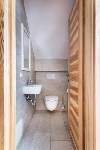 a bathroom with a toilet and a sink at Apartments Sivka - Private Sauna in Cerklje na Gorenjskem
