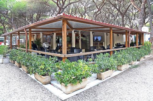 Gallery image of Camping Eden in Marina di Grosseto