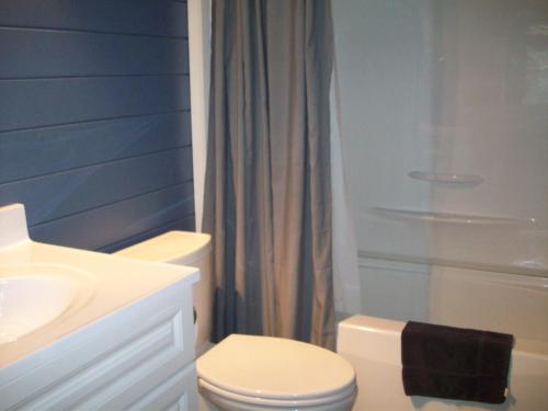 La salle de bains est pourvue de toilettes, d'un lavabo et d'une douche. dans l'établissement Lakewoods Cottage, à Oxtongue Lake