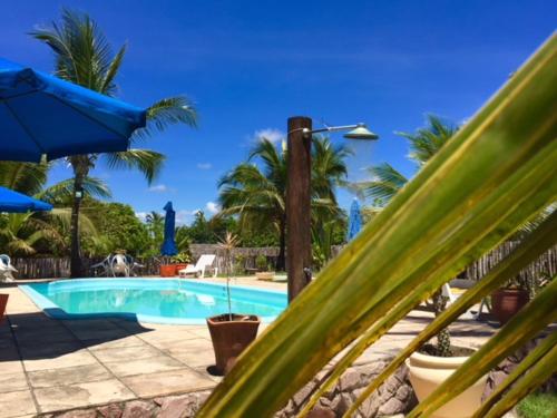 a swimming pool with palm trees and a blue sky at Bahiadomizil in Canavieiras
