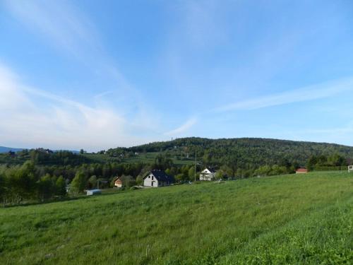 a large green field with houses in the distance at Pensjonat Sabina in Koszarawa