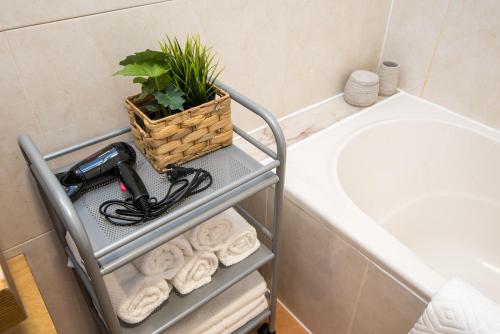 einem Handtuchhalter mit einem Haartrockner und einer Pflanze im Bad in der Unterkunft Belém 147 Apartment in Lissabon