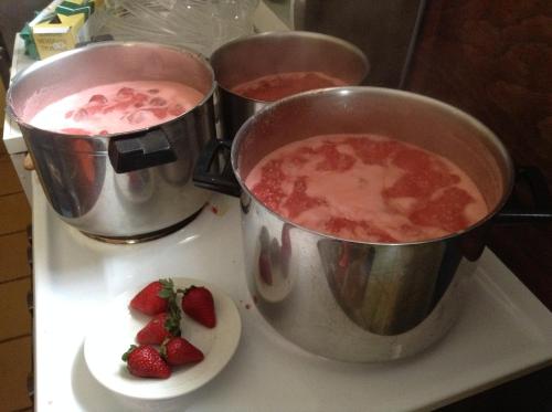 three pots on a counter with a plate of strawberries at Archontiko Art Hotel in Galaxidhion