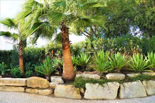 Κήπος έξω από το Charming Exceptional Golf Villa in Algarve