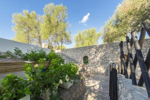 Κήπος έξω από το Residenza La Cicala