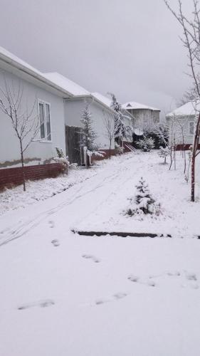 a snow covered street in front of a house at Gabala Homes Musa in Gabala