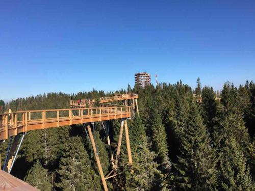 a bridge over a forest with a train on it at Chalet Jayata in Stará Lesná