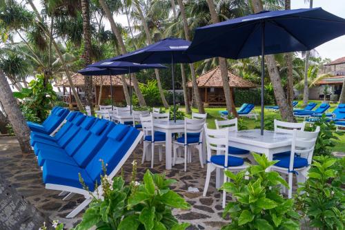 Rockside Cabanas Hotelにある庭