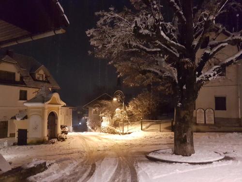 Apartmaji Mežan v zimě