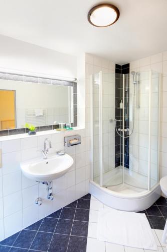 a bathroom with a sink and a shower at Hotel Kleiner König in Schwangau