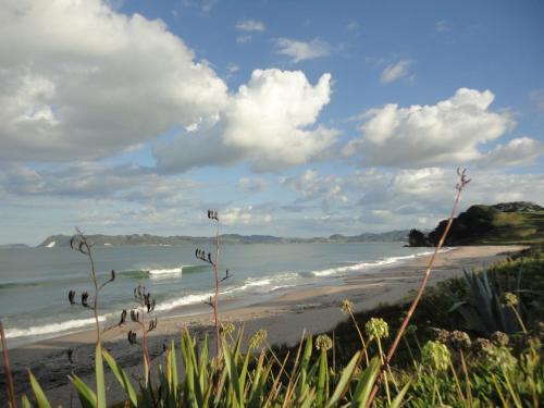 a sandy beach with waves in the ocean at Ocean View B&B in Whitianga