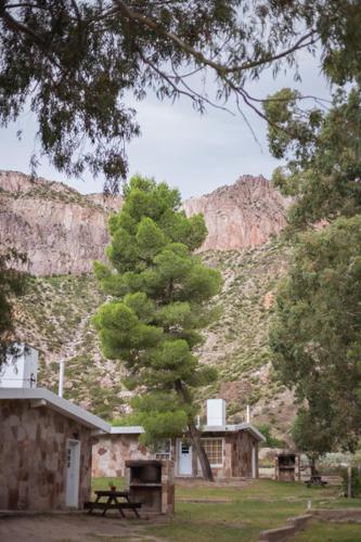 Bosque Divino Cabañas & Suites – Photos 2
