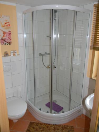 a shower in a bathroom with a toilet and a sink at Gästezimmer Vockerodt in Nottleben