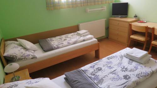 Gallery image of Penzion U Splavu in Břeclav