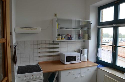 オストゼーバート・カールスハーゲンにあるFewo Marina 8_GLASのキッチン(コンロ、電子レンジ付)