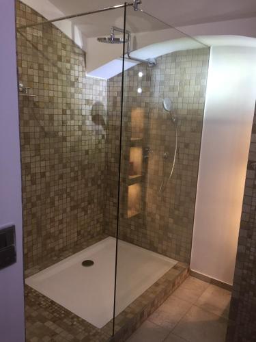 a shower with a glass door in a bathroom at Schlosspark Residenz in Schwerin