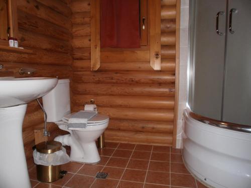 Koupelna v ubytování Stivakti Chalet