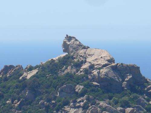 Φυσικό τοπίο κοντά σε αυτό το διαμέρισμα
