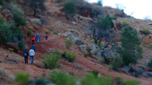 a group of people walking down a dirt hill at Camping Auberge Zebra in Ouzoud