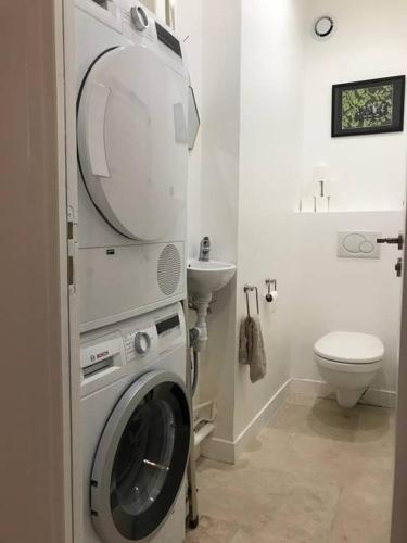 une machine à laver dans une salle de bain avec toilettes dans l'établissement Homelivia, Luxueux Appartement avec Jardin privé, à Nice