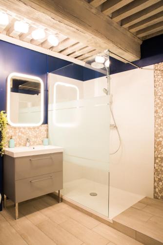 une salle de bain avec douche et lavabo dans l'établissement Le Sathonay - Loft Terrasse - Lyon Centre - Majord'Home, à Lyon