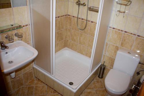 a bathroom with a shower and a toilet and a sink at Penzion u Hajneho Bedricha in Harrachov