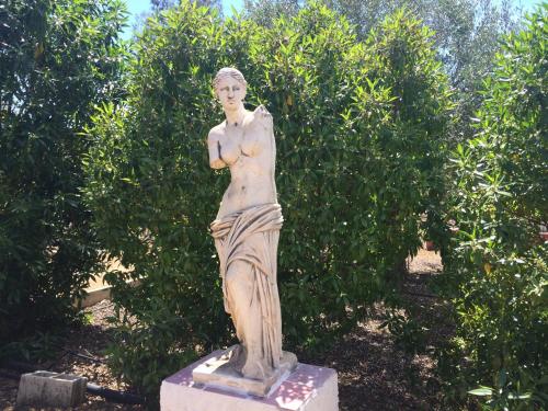 Κήπος έξω από το Hacienda Los Jinetes