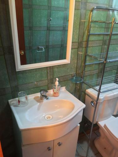 a bathroom with a sink and a mirror and a shower at Cabaña Vista al Lago in Llanquihue
