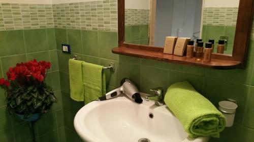 a green bathroom with a sink and a mirror at Anastasia Villas-B&B in Lido Signorino