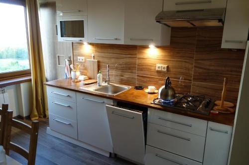 a kitchen with a sink and a stove at Bujaków, apartamenty Zdrojowa 58a in Bujaków