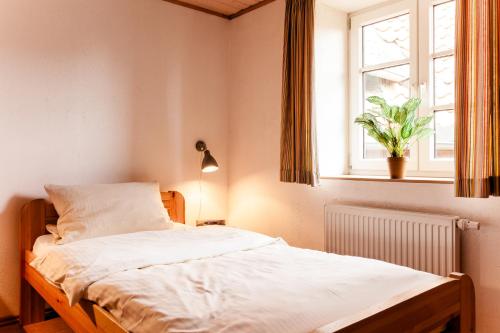 a bed in a bedroom with a window and a plant at Meyers Hofcafe in Isenbüttel