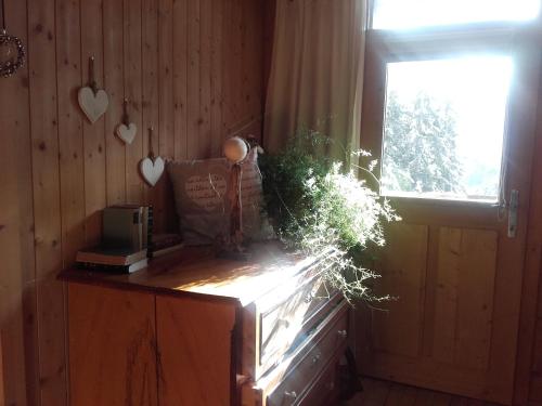 a room with a wooden wall with a window and a dresser at Bed & Breakfast Dolomiti Bey Haus Pinter in Assling