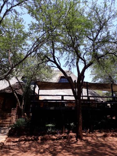 a tree in front of a wooden fence at ThabaNkwe Bushveld Inn in Thabazimbi