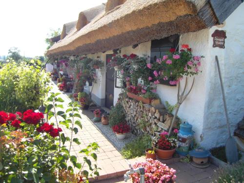 Gallery image of Nádasház in Gyenesdiás