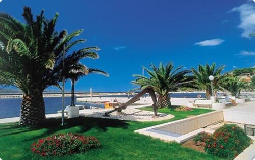 um resort com palmeiras e uma praia com o oceano em Apartmani Baška Voda em Baska Voda