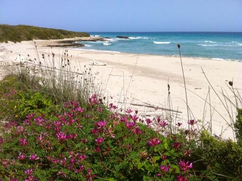 Gallery image of Agriturismo Fontanelle in Otranto