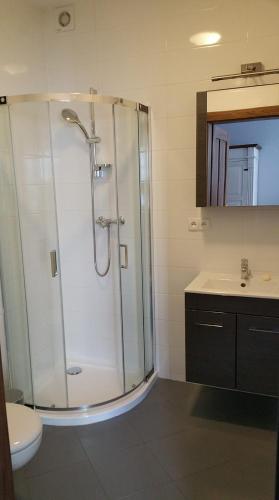 a bathroom with a shower and a toilet and a sink at Uroczysko starych sztolni in Szklarska Poręba