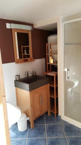uma casa de banho com um lavatório e um WC em Chambre d hôtes du lac em Echallon