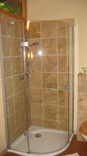a shower with a glass door in a bathroom at Gästeappartement Appricot in Adendorf